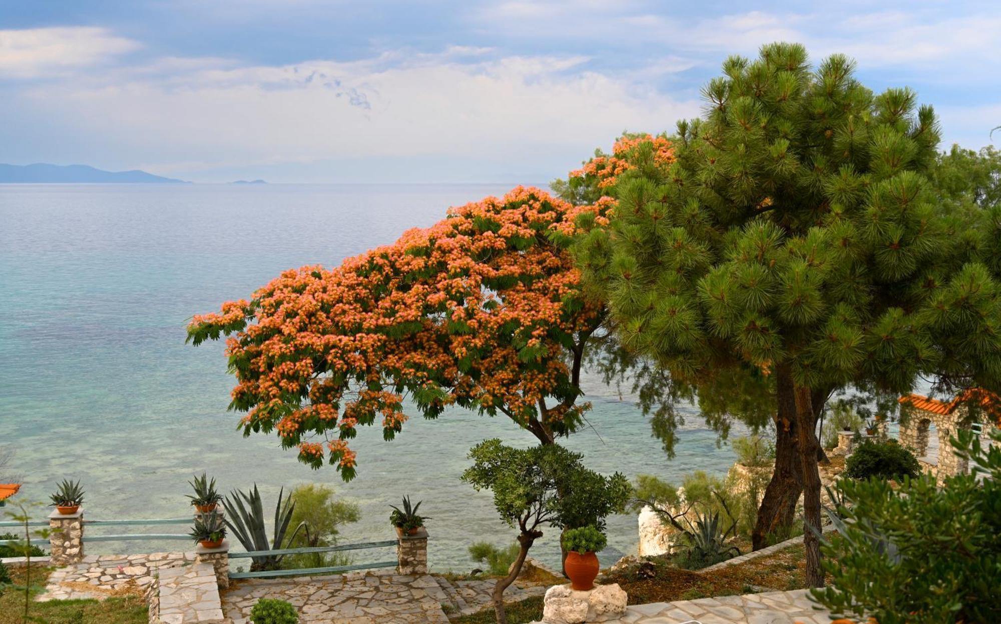 Kiparissi Villa Halkidiki Ierissos Exterior foto